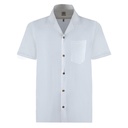 Men's Pure Linen Bushirt (LIN-1306|CCL/HSP)