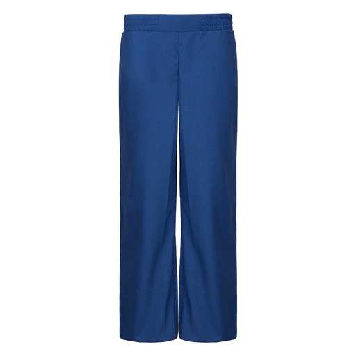 Women's Wool Rich Blend Trouser (STR-49|1752)        